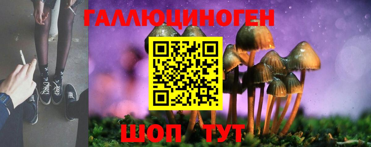 Псилоцибиновые грибы Cubensis  Вход с VPN  Лысьва 